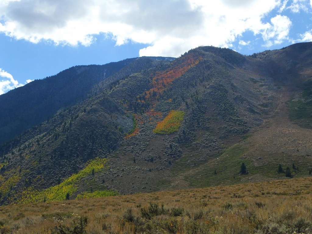 California-Fall2010 334.JPG